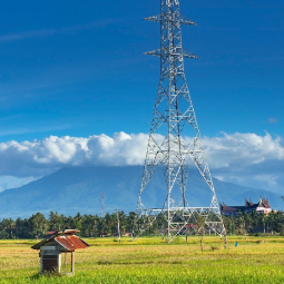PLN East Java & Bali Power Distribution Strengthening Project
