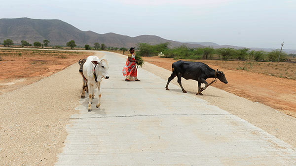 INDIA: Andhra Pradesh Rural Roads Project