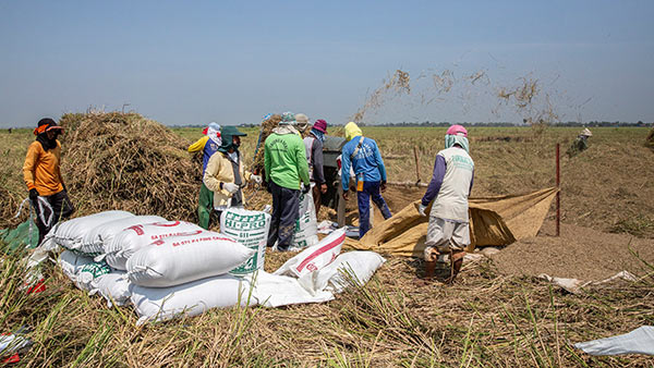 INDONESIA: Strategic Irrigation Modernization and Urgent Rehabilitation