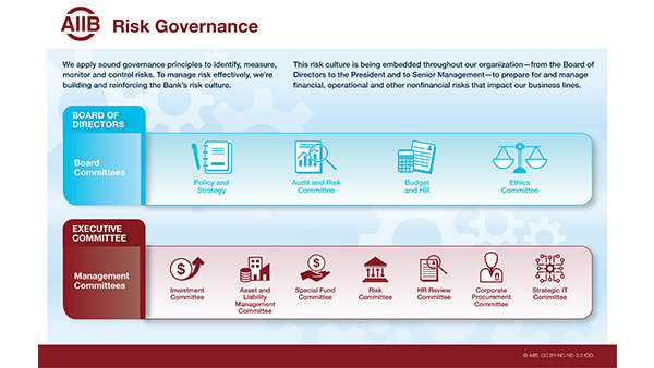 Risk Governance