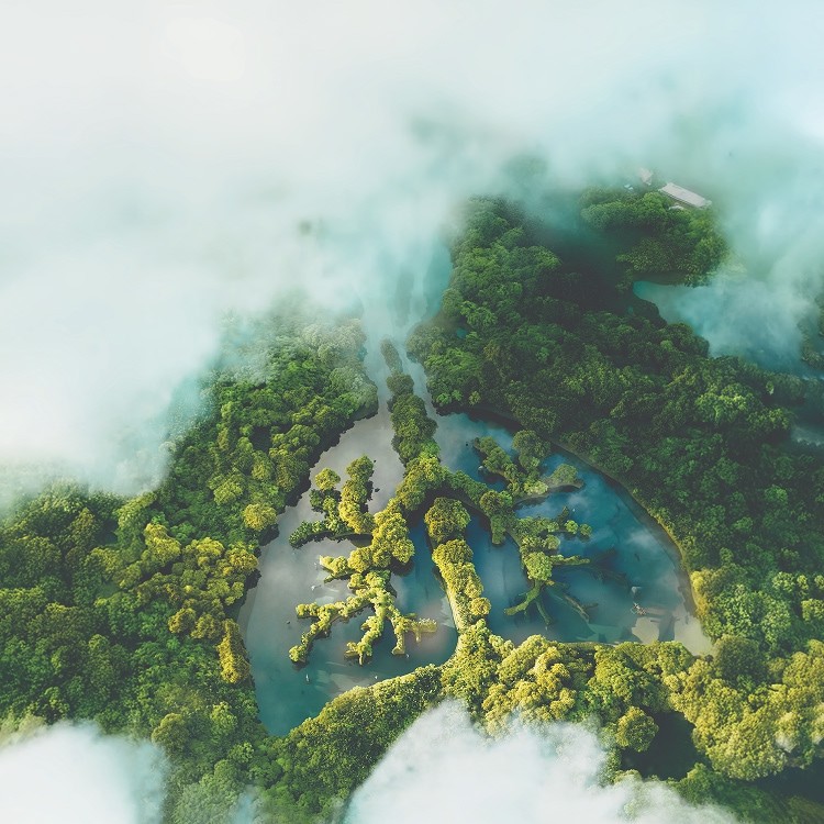 INFRASTRUCTURE FOR PLANETARY HEALTH