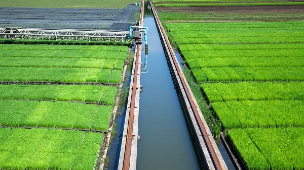 Strengthening Water Infrastructure for Resilient Agriculture: Insights across Asia