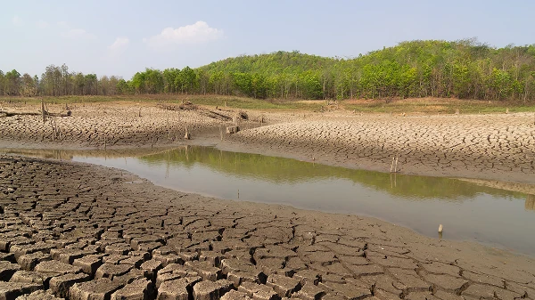 Water Stress and Sovereign Ratings: A Cross-Country Analysis