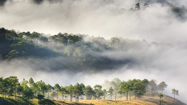 Flying Rivers:
