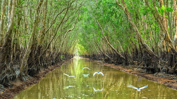 Protecting Wetlands