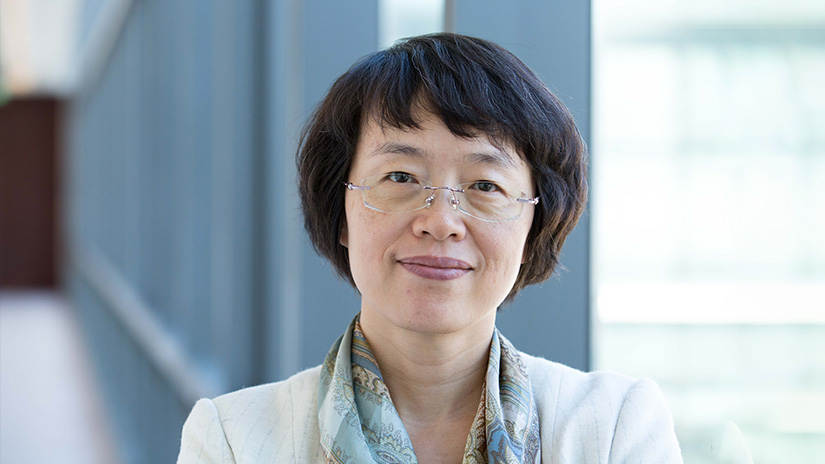 Quan Zheng