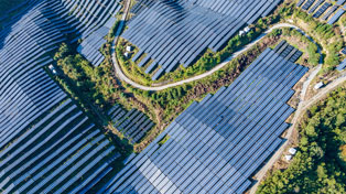 Harvesting Sunlight: The Dynamics of Rooftop Solar in Rural China