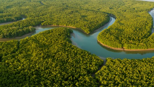 Advancing Development with Nature Finance 