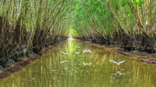 Beyond the Label: Why International Agreements Alone Aren’t Saving Our Wetlands