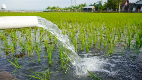 Blending Policy and Performance: From CPBF to Downstream Investments