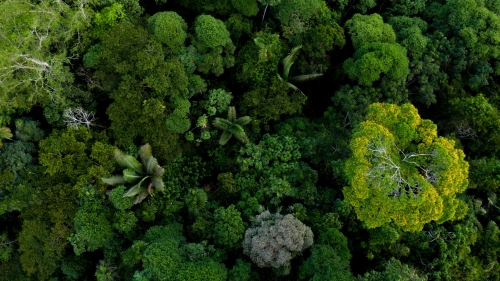 We Are Losing the Battle to Invest in Nature. Public-Private Partnerships Can Change This