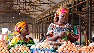 AIIB Supports Resilience and Recovery of Private Sector in Rwanda