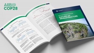 AIIB Launches Report on Transformative Concept of Defining Nature as Infrastructure