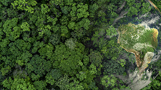 MDBs Agree How to Align New Financial Flows with the Paris Agreement Goals 