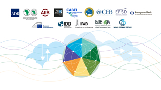 Joint Communique on Electronic Government Procurement Systems by the Heads of Procurement of Multilateral Development Banks