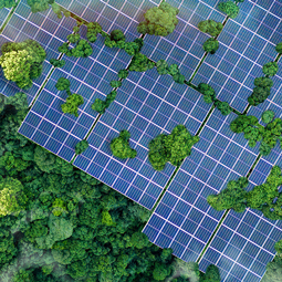 AIIB Partners with Brazil’s First Co-operative Bank to Boost Renewable Energy Financing