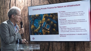MDBs and Partners Launch Playbook to Mobilize Private Capital for Nature in Belém