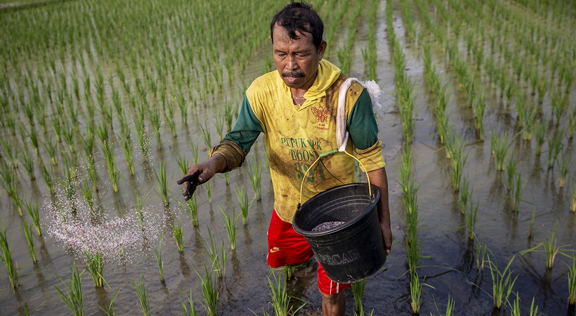 fmail lang irrigation